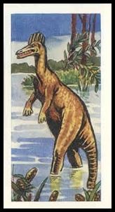 22 Corythosaurus